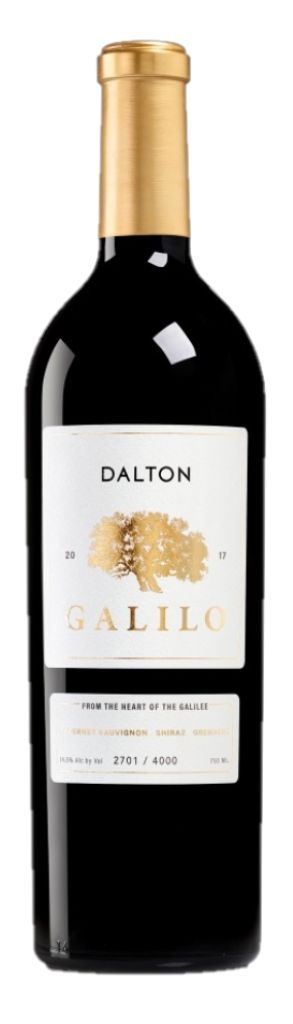 galilo17