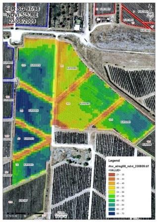 Vineyard mapping1