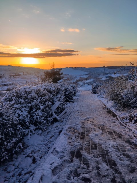 Vineyards binyamin snow1