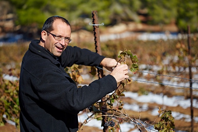 yaakov ben dor